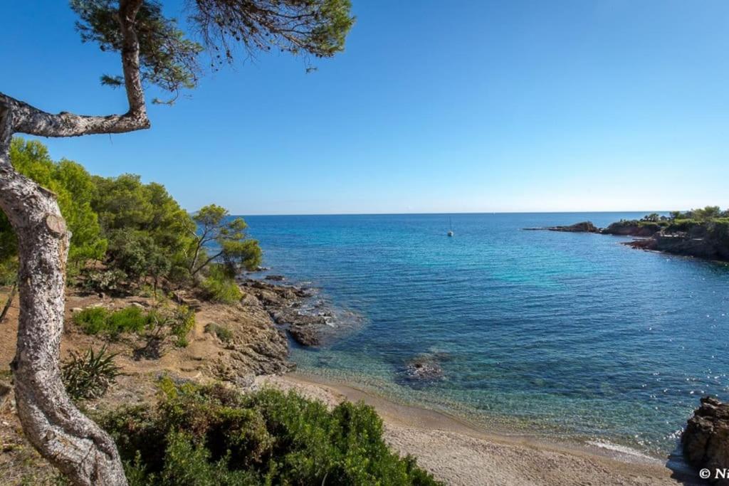 Roquebrune-Sur-Argens, Villa 2 Pieces, 4 Personnes מראה חיצוני תמונה